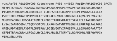 Computer fasta file showing text, the first line reading the name of an amino acid sequence, and the lines underneath random capital letters representing amino acids. 